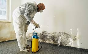 Best Biohazard Mold Removal  in Lookout Mountain, GA