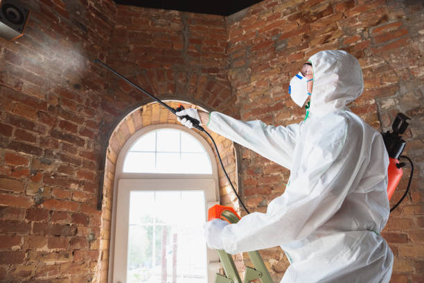 Best Mold Prevention Services  in Lookout Mountain, GA